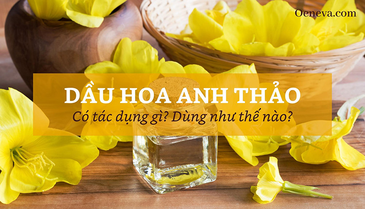 10 công dụng của dầu hoa anh thảo - bạn đã biết chưa? 1 10 công dụng của dầu hoa anh thảo - bạn đã biết chưa? 1