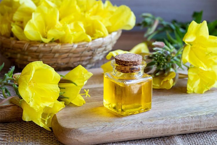 1. Uống tinh dầu hoa anh thảo có lợi ích gì? 1