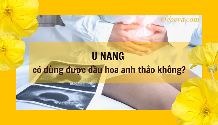U nang có uống được tinh dầu hoa anh thảo không? 1 U nang có uống được tinh dầu hoa anh thảo không? 1