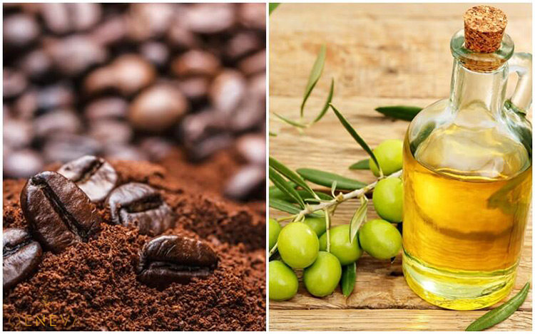 1.9. Sử dụng bã cà phê và dầu olive 1 1.9. Sử dụng bã cà phê và dầu olive 1