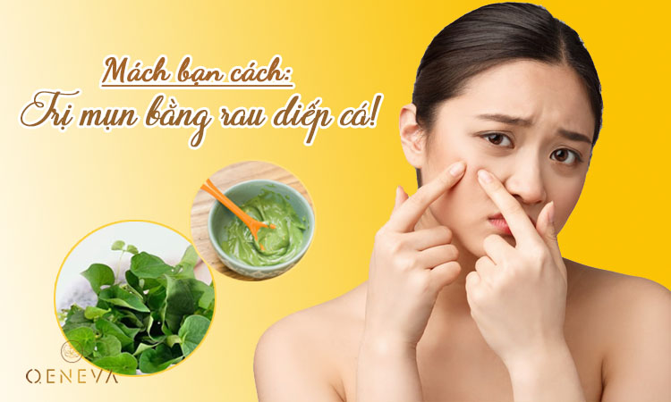 9 cách trị mụn bằng rau diếp cá hiệu quả đến đâu? 1 9 cách trị mụn bằng rau diếp cá hiệu quả đến đâu? 1