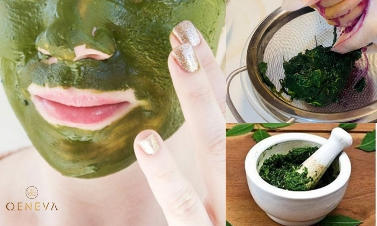 2.4. Đắp mặt nạ lá tía tô 1