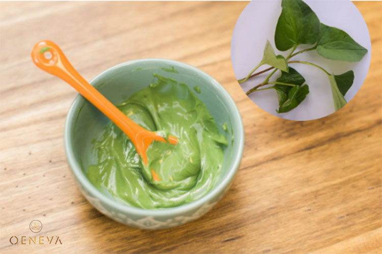 1.3. Mặt nạ diếp cá - nước hoa hồng 1 1.3. Mặt nạ diếp cá - nước hoa hồng 1