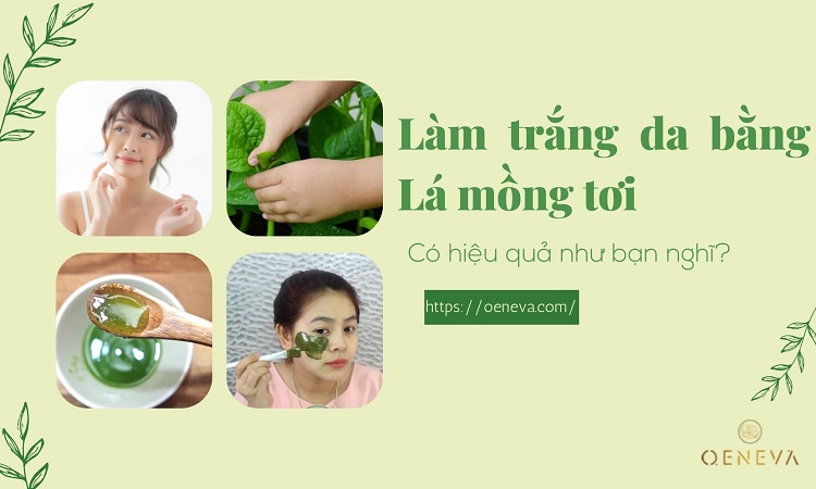 Cách làm trắng da bằng lá mồng tơi
