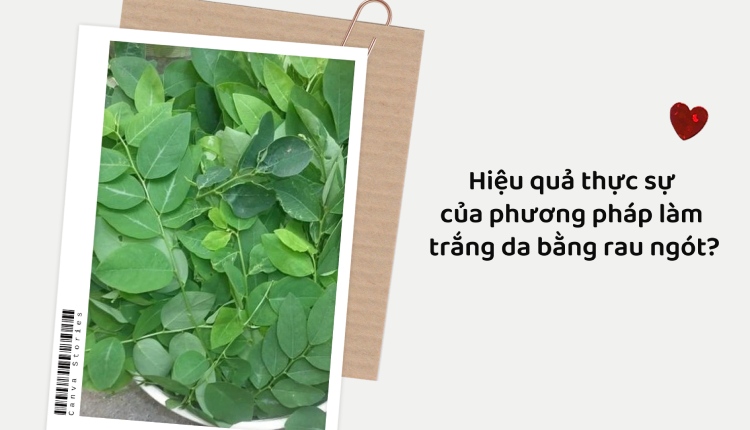 Có nên áp dụng cách làm trắng da bằng rau ngót? 1 Có nên áp dụng cách làm trắng da bằng rau ngót? 1