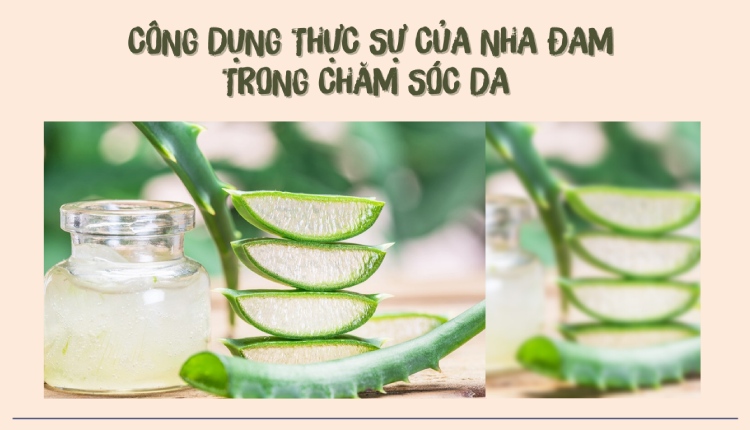 Thực hư hiệu quả của 7 cách làm trắng da bằng nha đam tại nhà 1 Thực hư hiệu quả của 7 cách làm trắng da bằng nha đam tại nhà 1