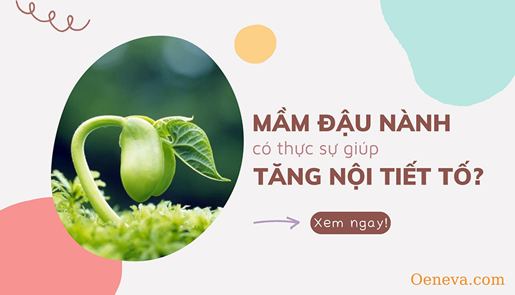 Mầm đậu nành có thực sự làm tăng nội tiết tố? 1