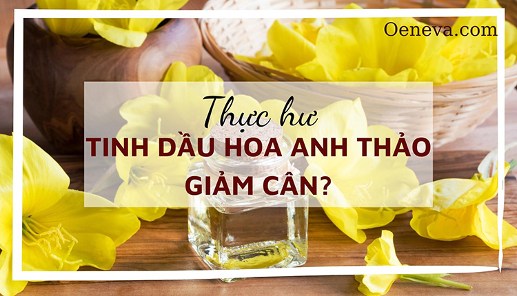 Thực hư chuyện tinh dầu hoa anh thảo giảm cân? 1 Thực hư chuyện tinh dầu hoa anh thảo giảm cân? 1