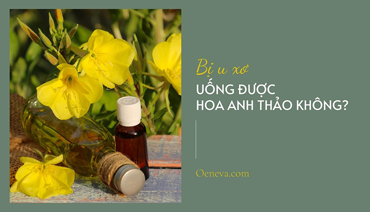 Giải đáp: U xơ có uống được hoa anh thảo không? 1
