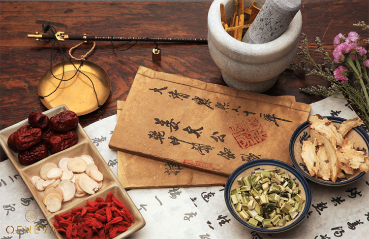 2. Bài thuốc chữa rối loạn nội tiết bằng Đông y 1