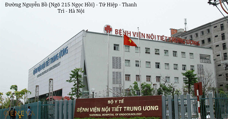 3.1. Bệnh viện Nội tiết Trung ương 1 3.1. Bệnh viện Nội tiết Trung ương 1