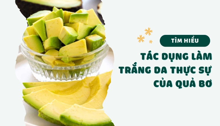 11 cách làm trắng da bằng quả bơ và hiệu quả thực sự 1