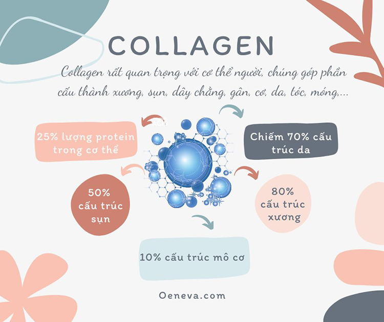 Uống collagen có tăng nội tiết tố không? 1 Uống collagen có tăng nội tiết tố không? 1