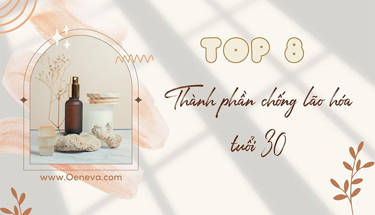 thanh-phan-chong-lao-hoa