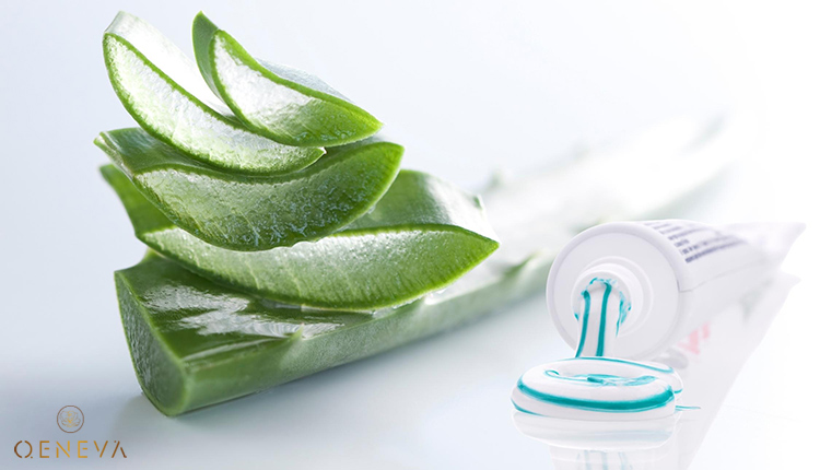 1.6. Kết hợp nha đam và kem đánh răng 1 1.6. Kết hợp nha đam và kem đánh răng 1