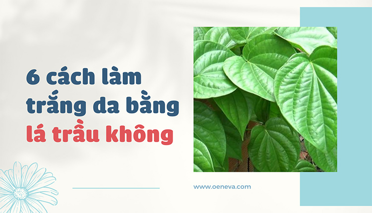 Tổng hợp 6 cách làm trắng da bằng lá trầu không 1