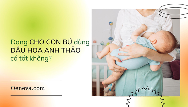 Đang cho con bú dùng tinh dầu hoa anh thảo có tốt không? 1 Đang cho con bú dùng tinh dầu hoa anh thảo có tốt không? 1