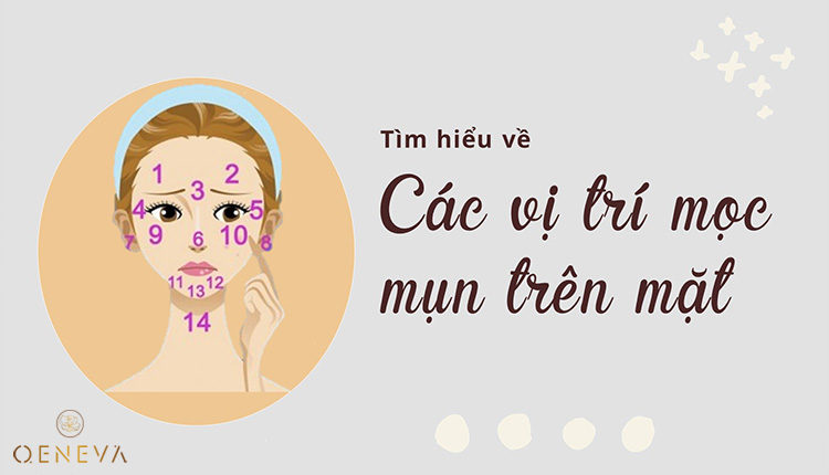 vi-tri-moc-mun-tren-mat