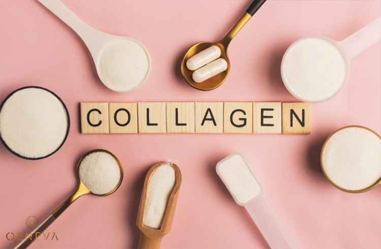 2.3. Collagen 1 2.3. Collagen 1