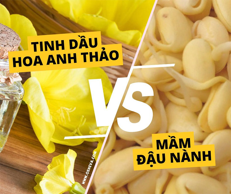 Sử dụng viên uống Oeneva - liệu pháp điều hòa nội tiết từ thiên nhiên! 1 Sử dụng viên uống Oeneva - liệu pháp điều hòa nội tiết từ thiên nhiên! 1