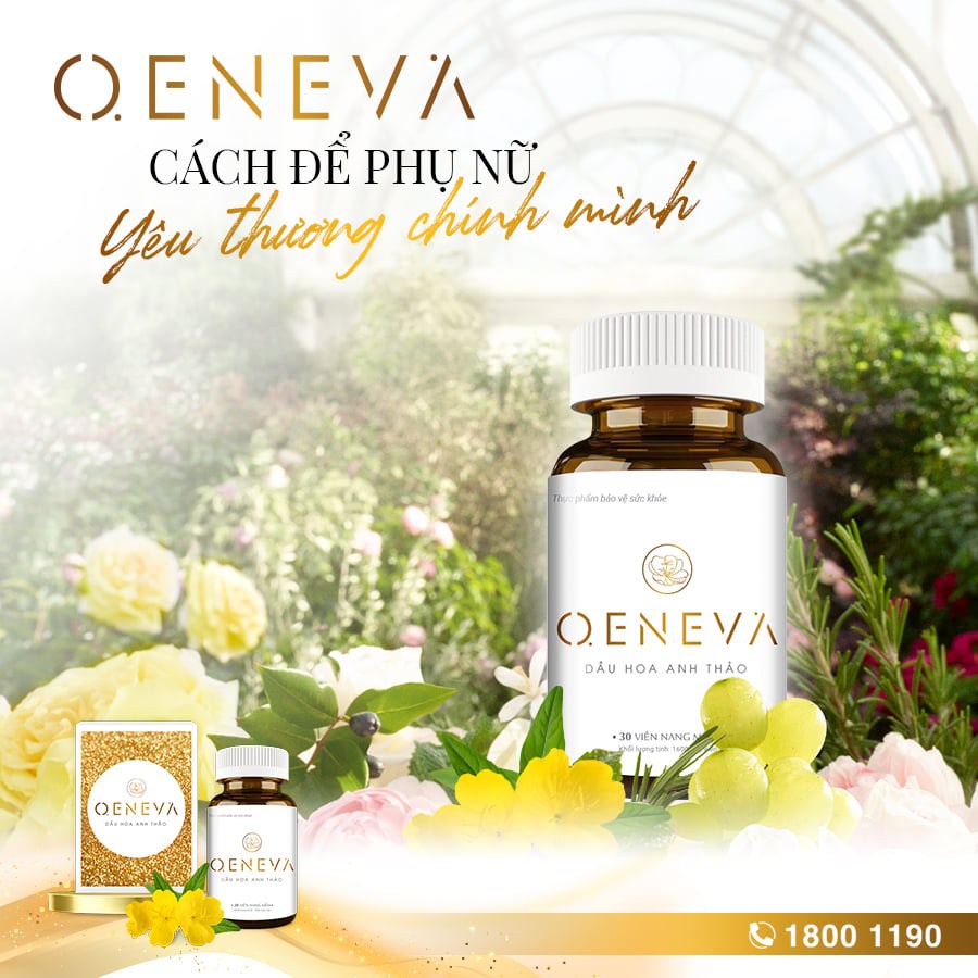 3. Oeneva Tuệ Linh - dầu hoa anh thảo Oenothera tiêu chuẩn châu Âu 1 3. Oeneva Tuệ Linh - dầu hoa anh thảo Oenothera tiêu chuẩn châu Âu 1