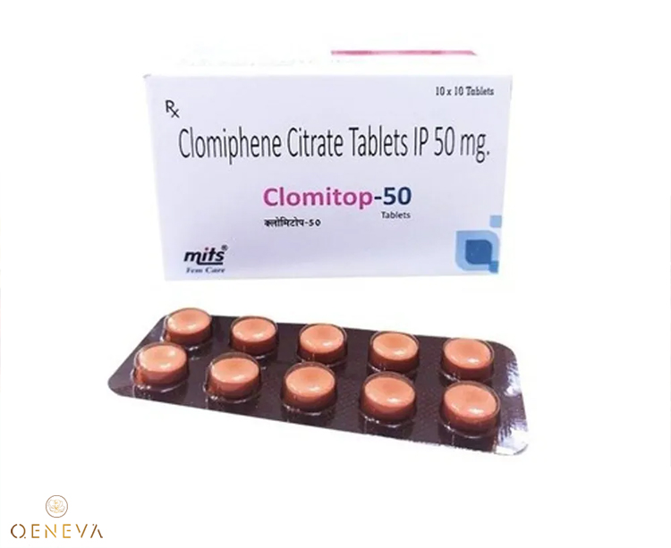 1.5. Clomiphene (Clomid) 1