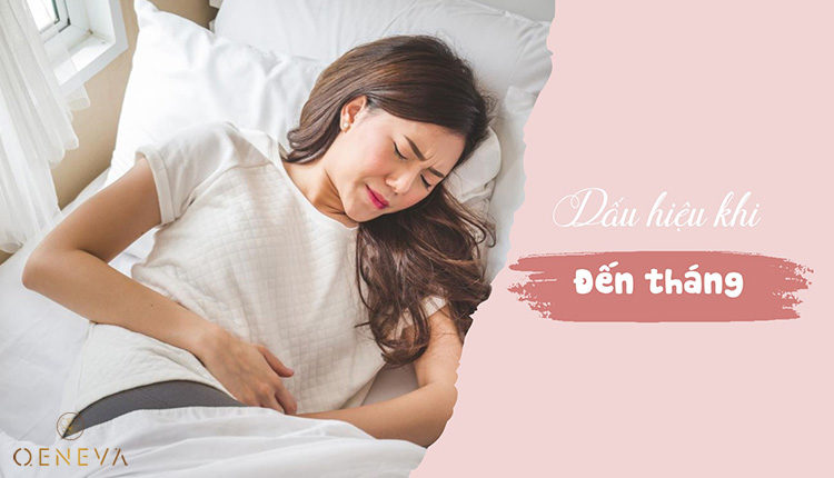dau-hieu-den-thang
