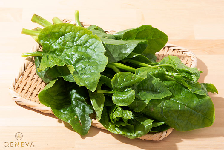 1. Vì sao mồng tơi được dùng để trị nám? 1