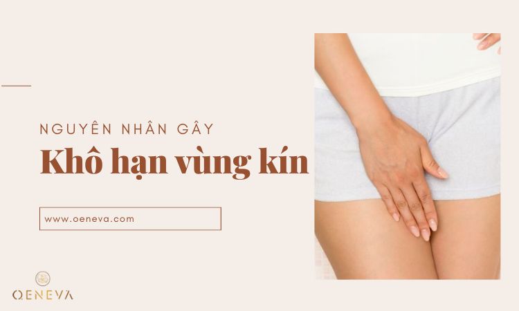 nguyên nhân bị khô hạn vùng kín