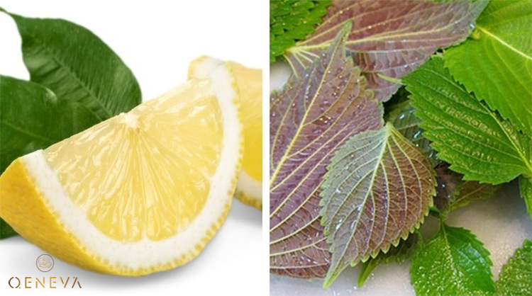 1.4. Mặt nạ tía tô và chanh 1