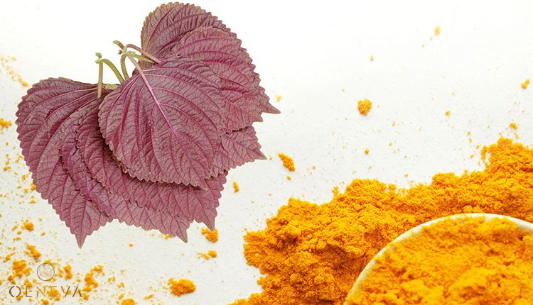 1.8. Mặt nạ tía tô và tinh bột nghệ 1