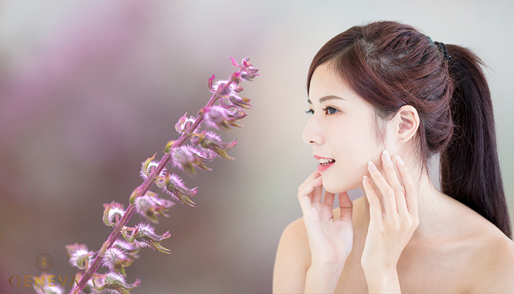 2. Trị nám tàn nhang bằng lá tía tô có thực sự hiệu quả? 1