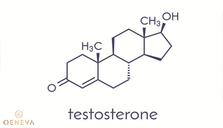 2.5. Nồng độ testosterone 1