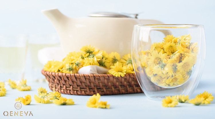 3.5. Trà hoa cúc 1 3.5. Trà hoa cúc 1