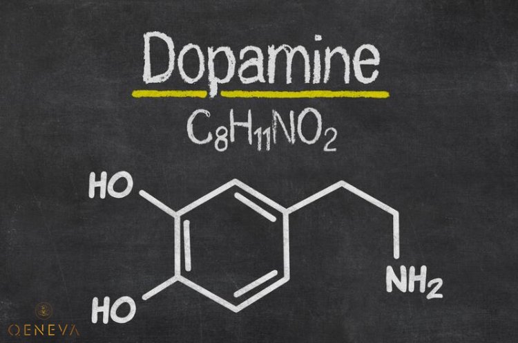 1. Dopamine - hoocmon của động lực và thành tựu 1